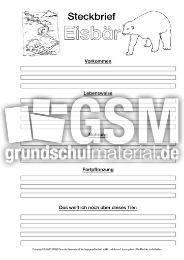 Eisbär-Steckbriefvorlage-sw-2.pdf